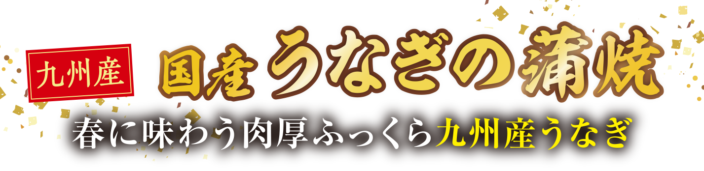 国産うなぎの蒲焼