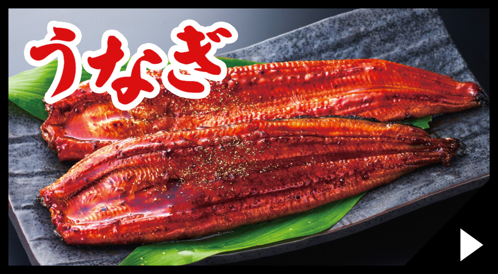 うなぎバナー