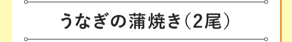 うなぎの蒲焼き（2尾）