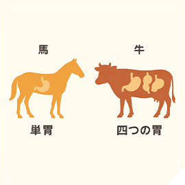 なぜ馬刺しは生で食べられるの？ 安全の理由を解説！|株式会社おとりよせ村