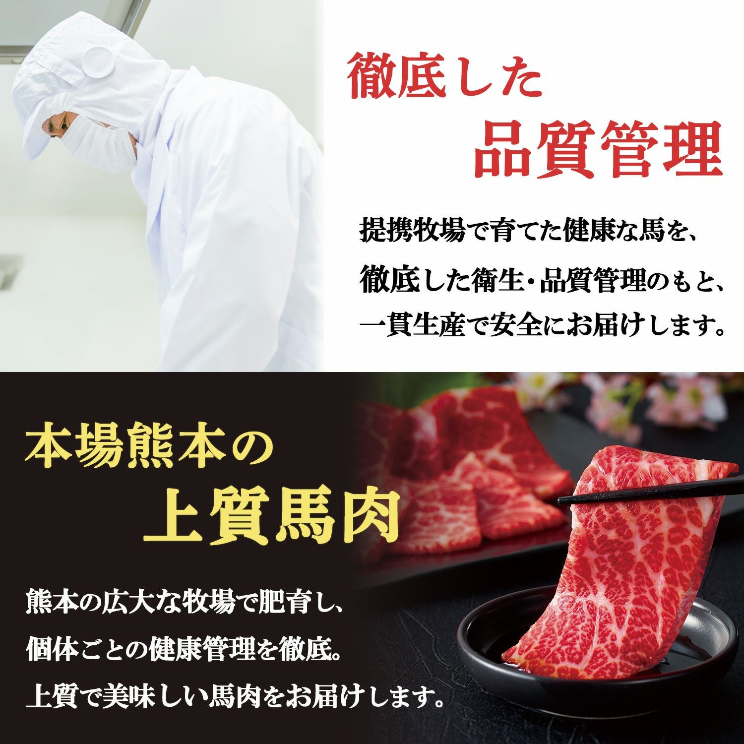 冷凍便】【国産】特選馬刺し5種食べ比べセット 5人前 250g 馬刺たれ付